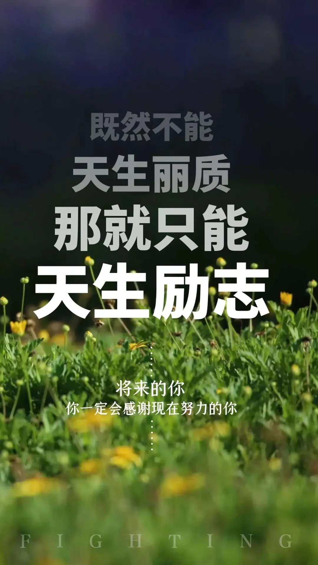 篮球试训前的体能训练方案_1
